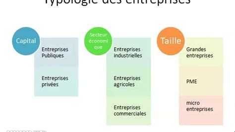 Typologies d'entreprises en France