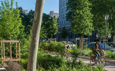 Végétalisation urbaine