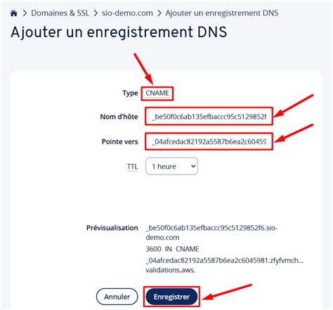 Vérification de domaine IONOS
