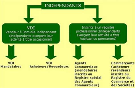 VDI Statut