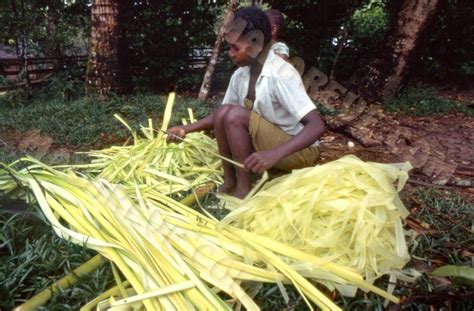 Vannerie de raphia à Madagascar