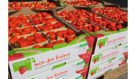 Vente de fraises