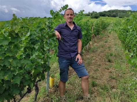 Vigneron dans les vignes