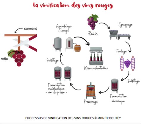 Vinification Champenoise