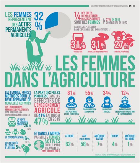 exemple infographie
