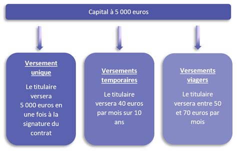 schema capital variable